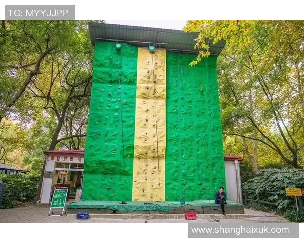 上海攀岩队实力解析:探索他们的训练与成就之路