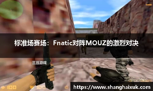 标准场赛场：Fnatic对阵MOUZ的激烈对决